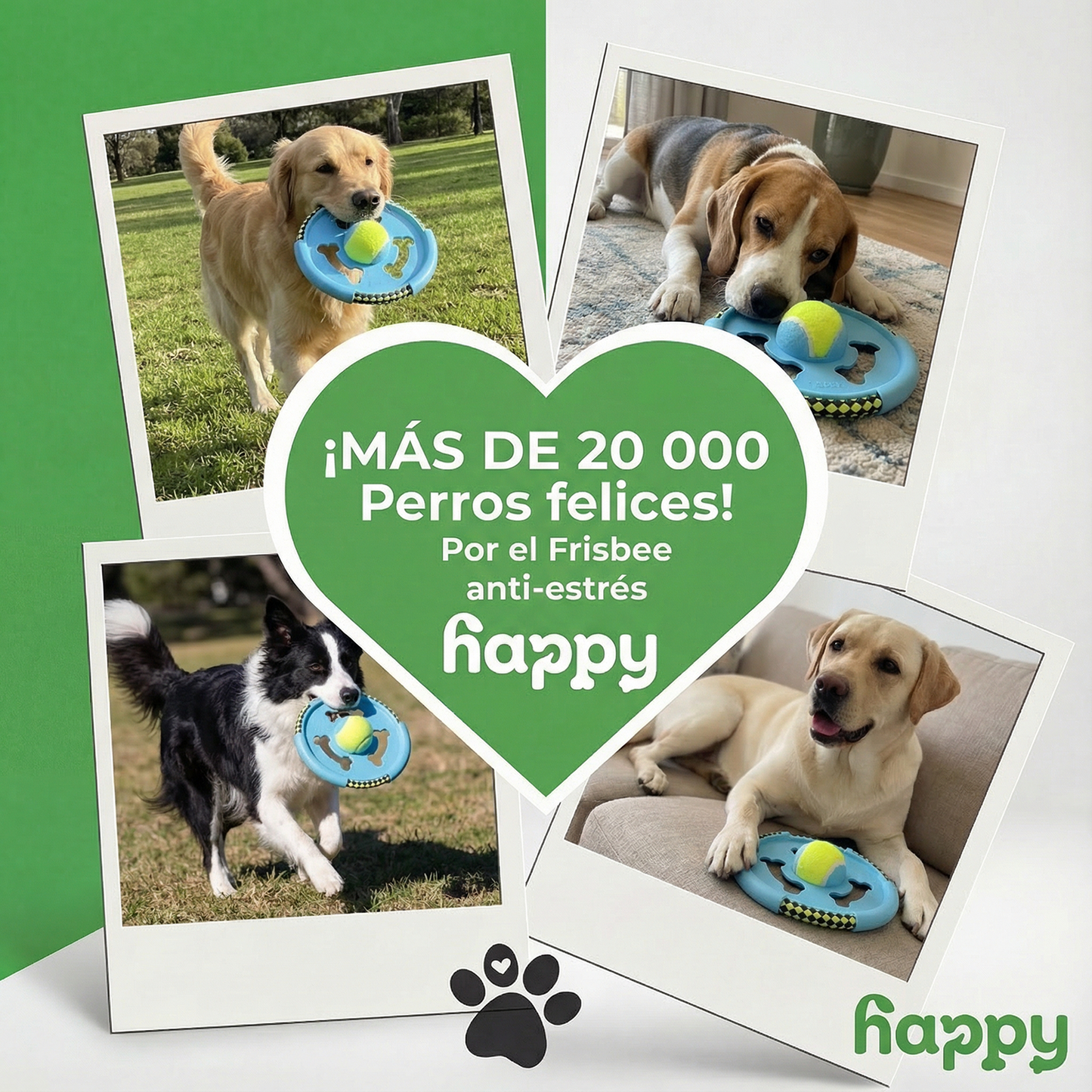 FRISBEE⢠| Fresbee double mental stimulation