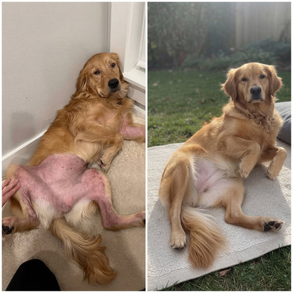 COLÁGENO™ | Alivio Natural del Picor Crónico