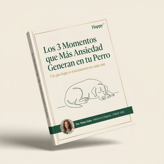 Los 3 momentos que más ansiedad generan en tu perro — y lo que hago yo exactamente en cada uno